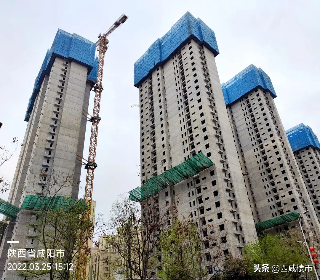 咸阳金科楼盘工程进度,咸阳所有在售楼盘价格