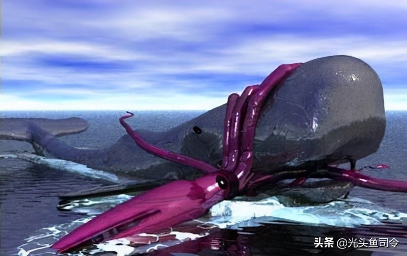 深海巨妖和北海巨妖,蓝鲸和北海巨妖谁更大