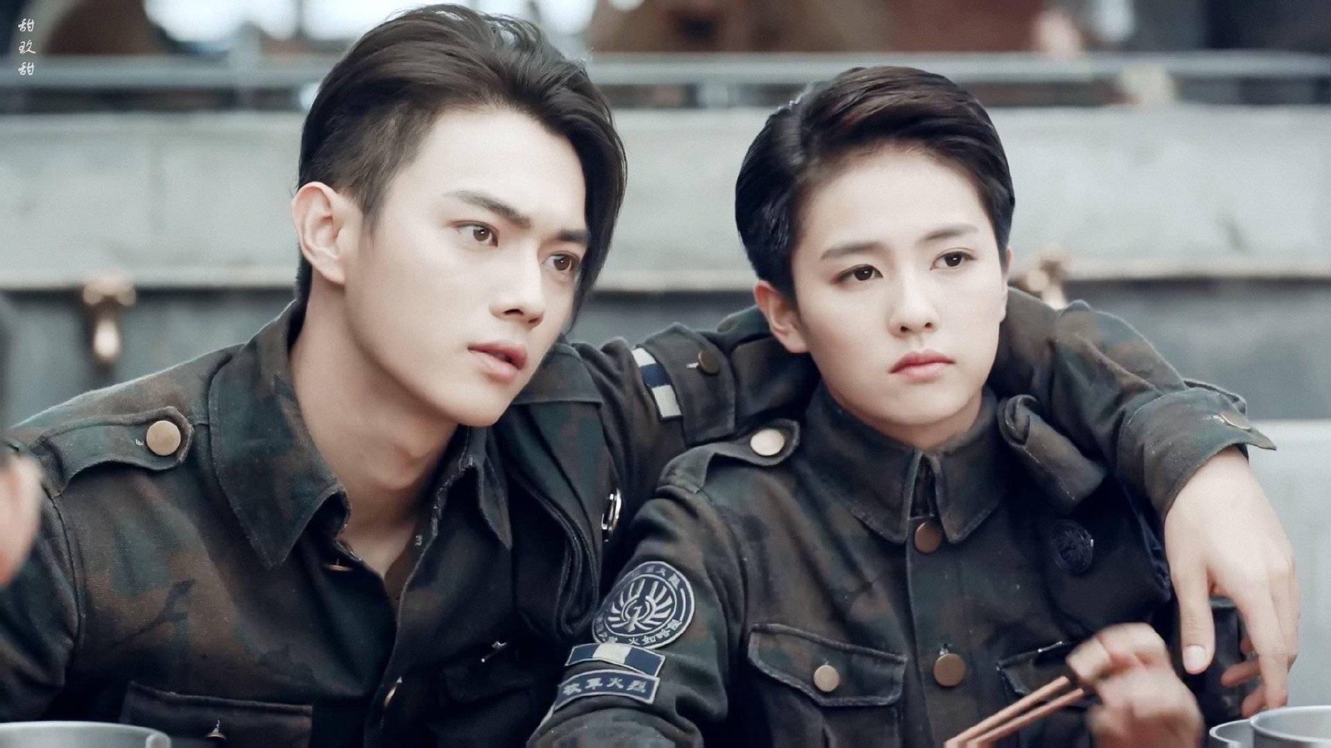 白鹿多少岁签约于正,白鹿学历于正