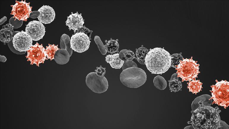 外阴肥大是怎么回事需要治疗吗,外阴肥大有必要做手术吗