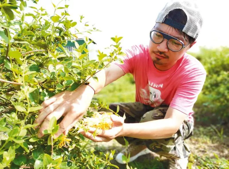 香港青年人内地创业,香港青年自主创业
