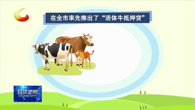 稳经济促发展强信心权威访谈福建,稳经济促消费访谈