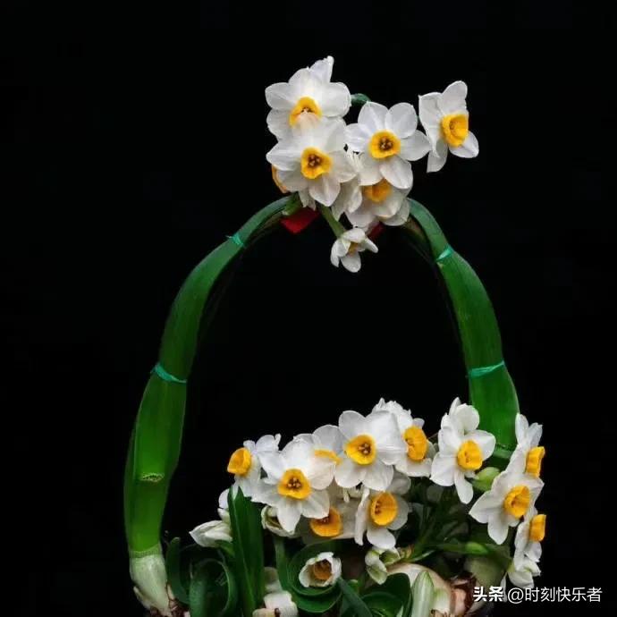 抗战时期国际对中国的援助的影响,抗日战争巴基斯坦援助中国纪录片