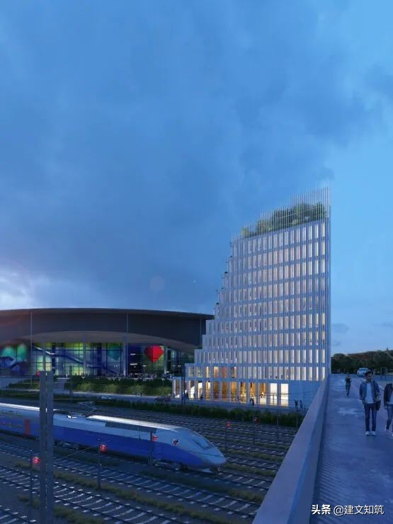 waf2023世锦赛,waf国内排名