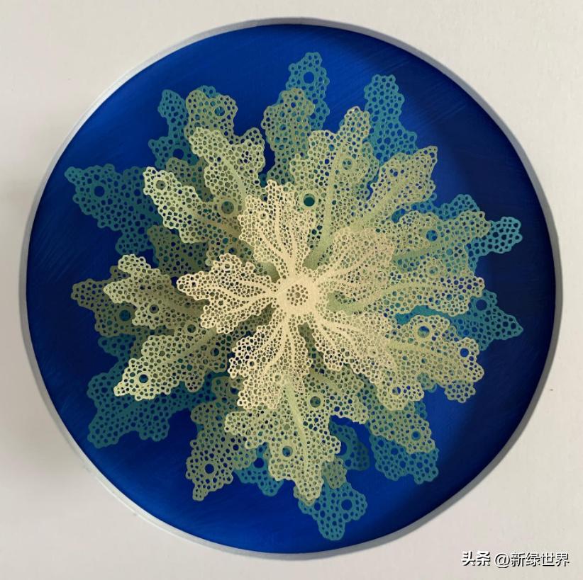 一组纸艺作品,令人惊艳的纸艺作品