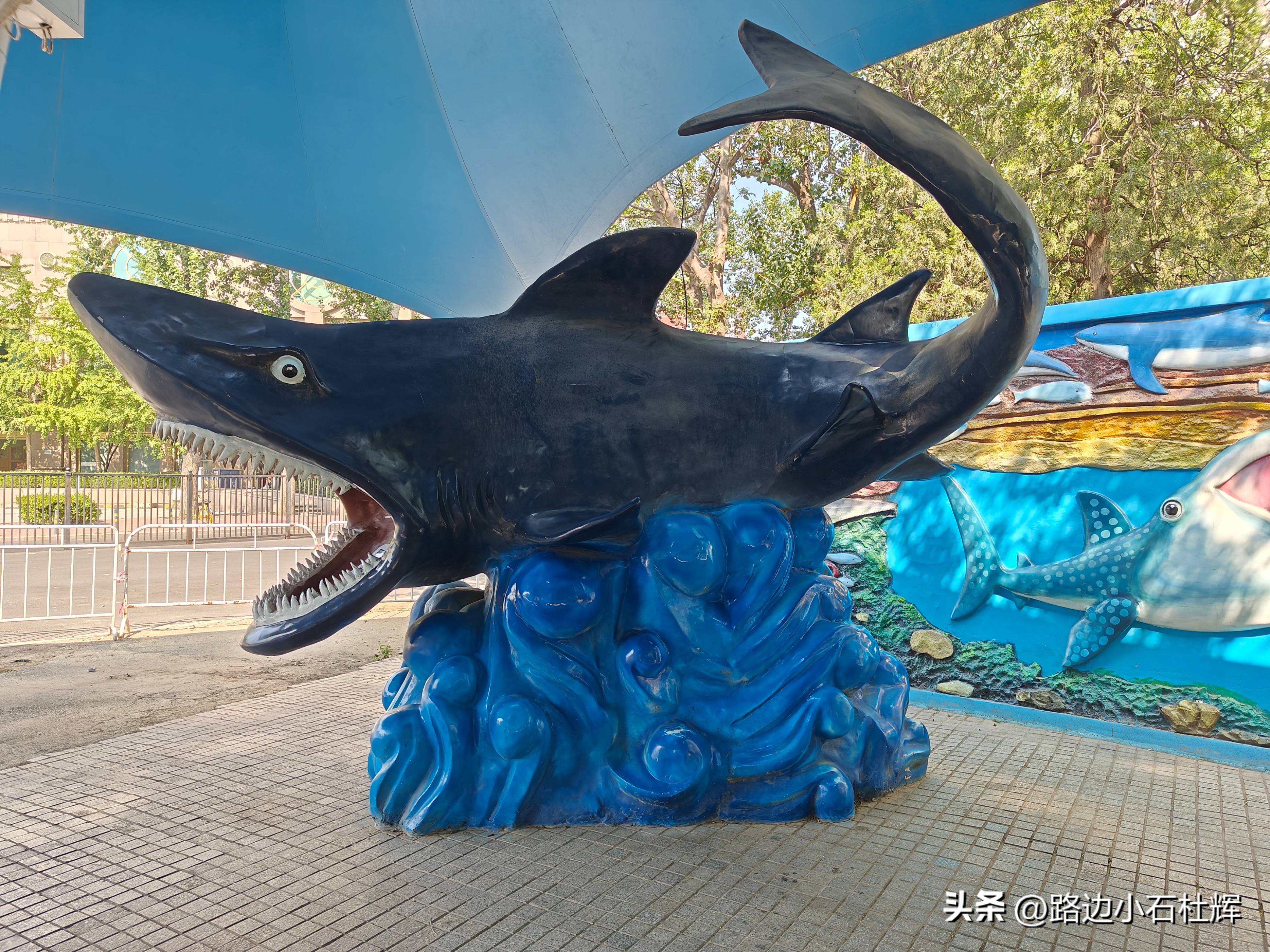北京富国海底世界海洋水族馆,北京海洋馆和工体海洋世界