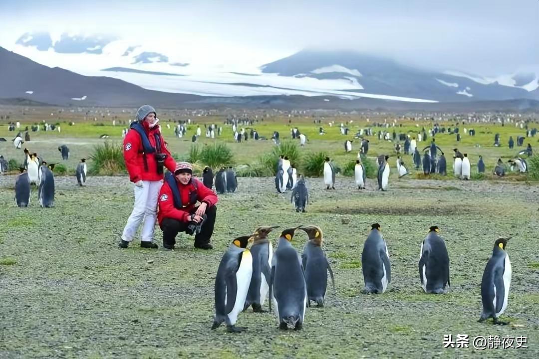 趁我病要你命？阿根廷对英国重启马岛争夺战，各自有着怎样考量？