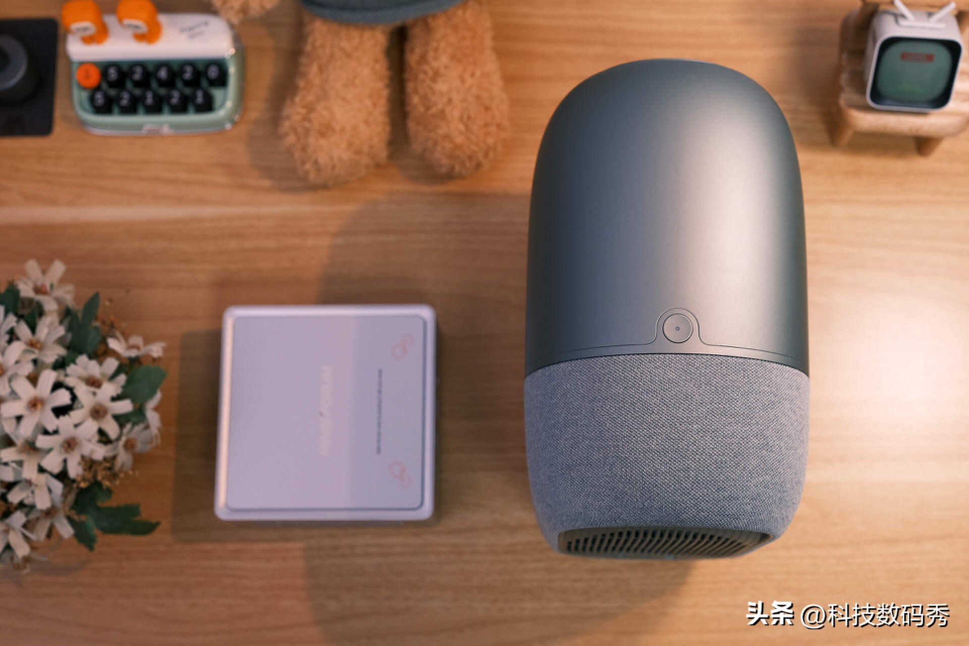 鏋佺背蹇箰鏄熺悆03缂虹偣,鏋佺背蹇箰鏄熺悆03瀵规瘮