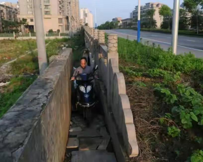 一对夫妻20年生10个女儿,2000年的夫妻