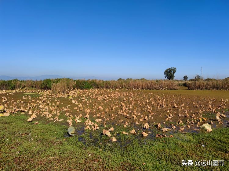 云南昆明滇池小渔村展新颜,滇池边的小渔村