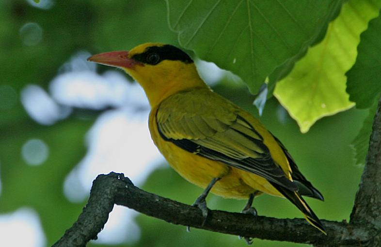 那些意境绝美的古诗词,豪放大气的10首诗词