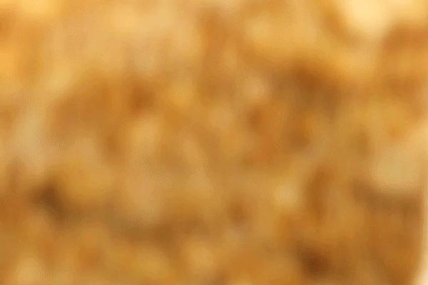 costco会员真的能省钱嘛,costco会员买哪种