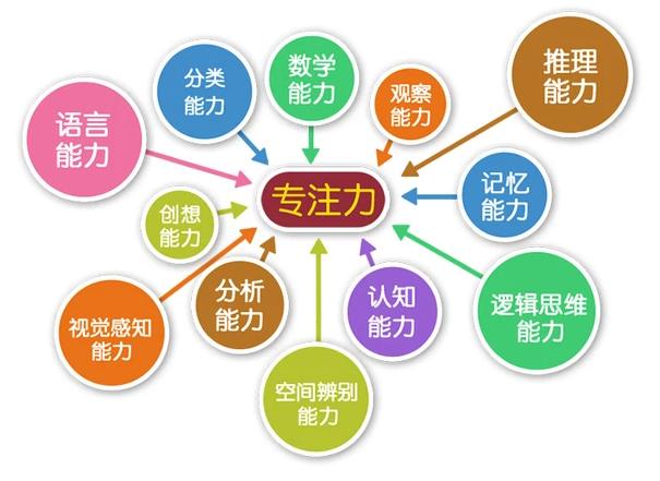 成人注意力不集中怎么办如何训练,成人专注力不足怎么训练