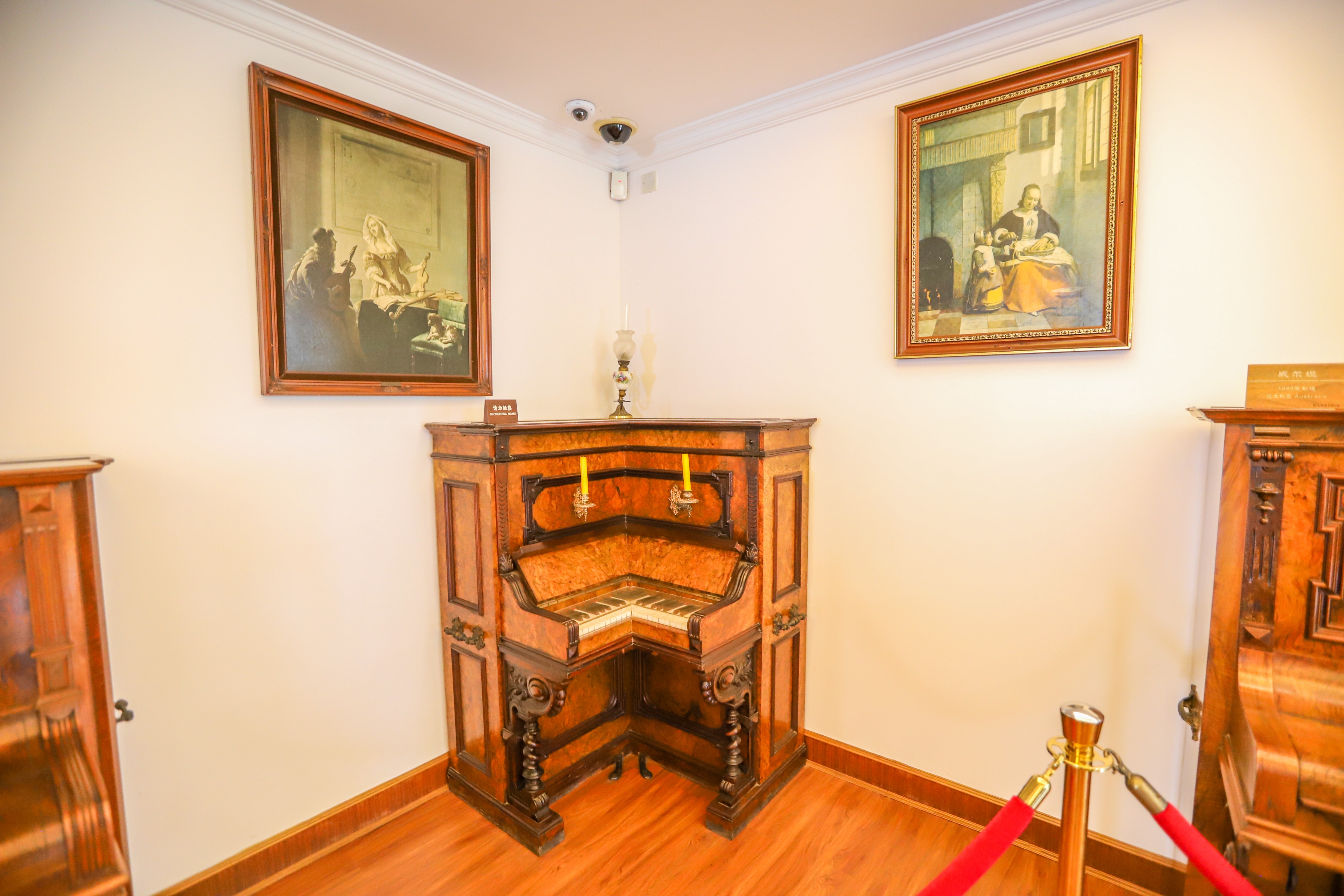 厦门旅游攻略游轮旅行路线推荐,厦门邮轮旅游攻略大全最新