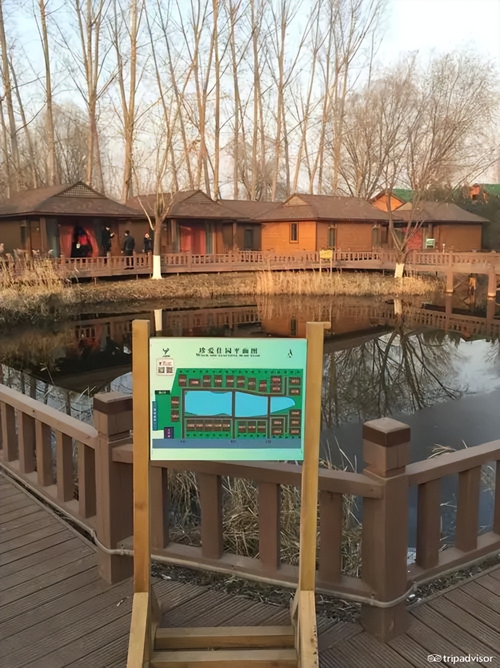 朝阳区文旅局,北京朝阳区文旅局电话