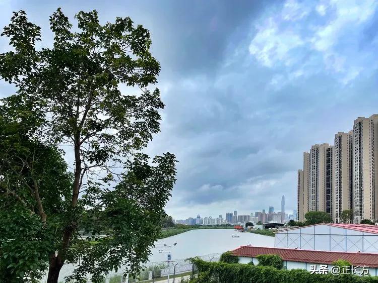 源源活水深圳河!(二)