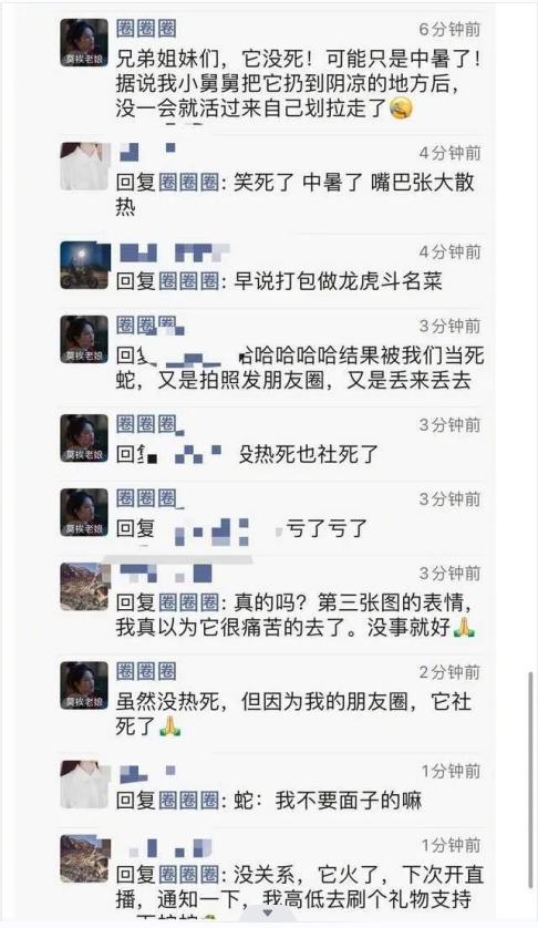 遭不住的高温天气,蛇被热中暑