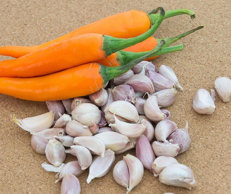 为什么不能刷牙而且嘴里有臭味,一张嘴就有臭味怎么刷牙都没用