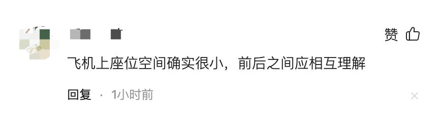 两乘客坐飞机高空中斗殴,飞机场互殴事件