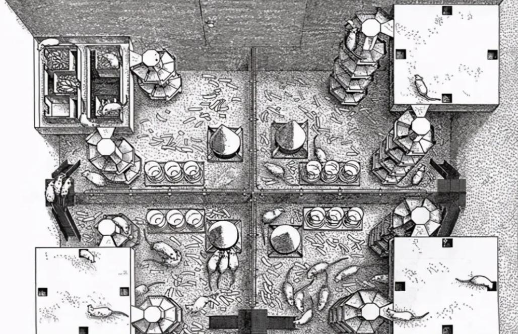 把10头公羊和10头母羊，放到有森林的孤岛上，10年后会怎么样？