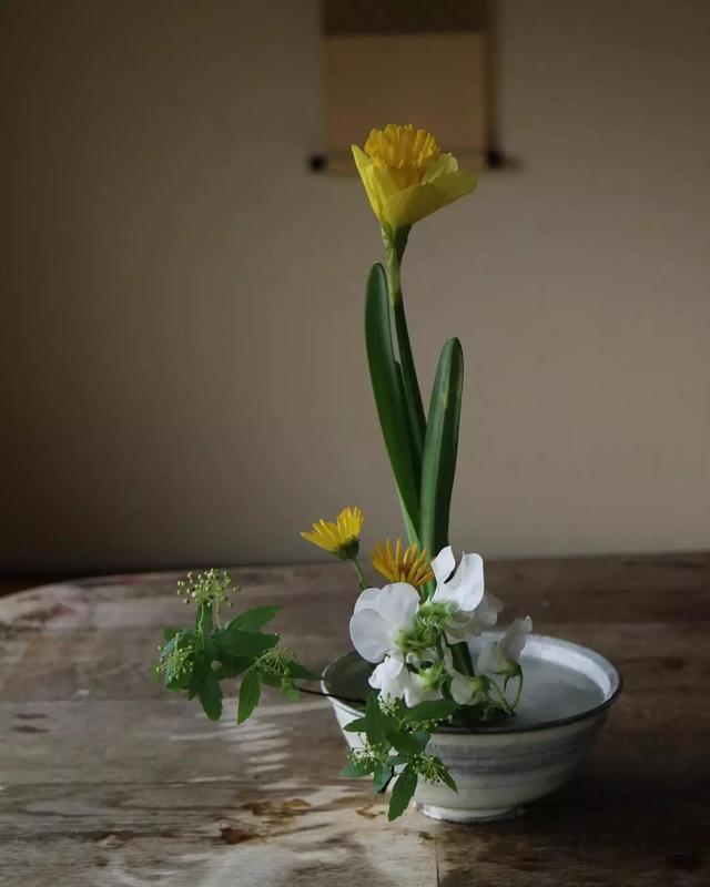 不会插花的句子,不会插花怎么办