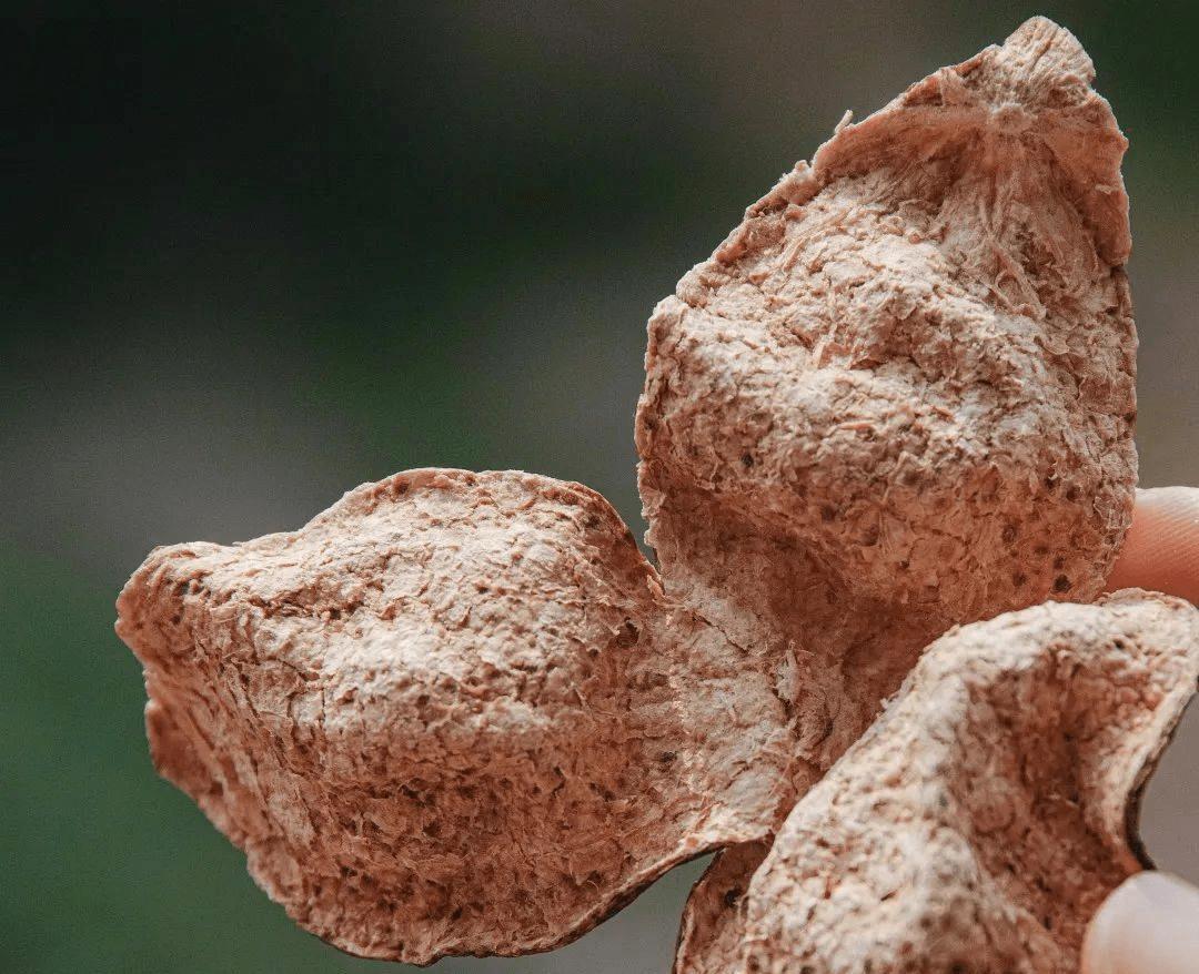 陈皮为什么越久越香越好,陈皮哪一种最香