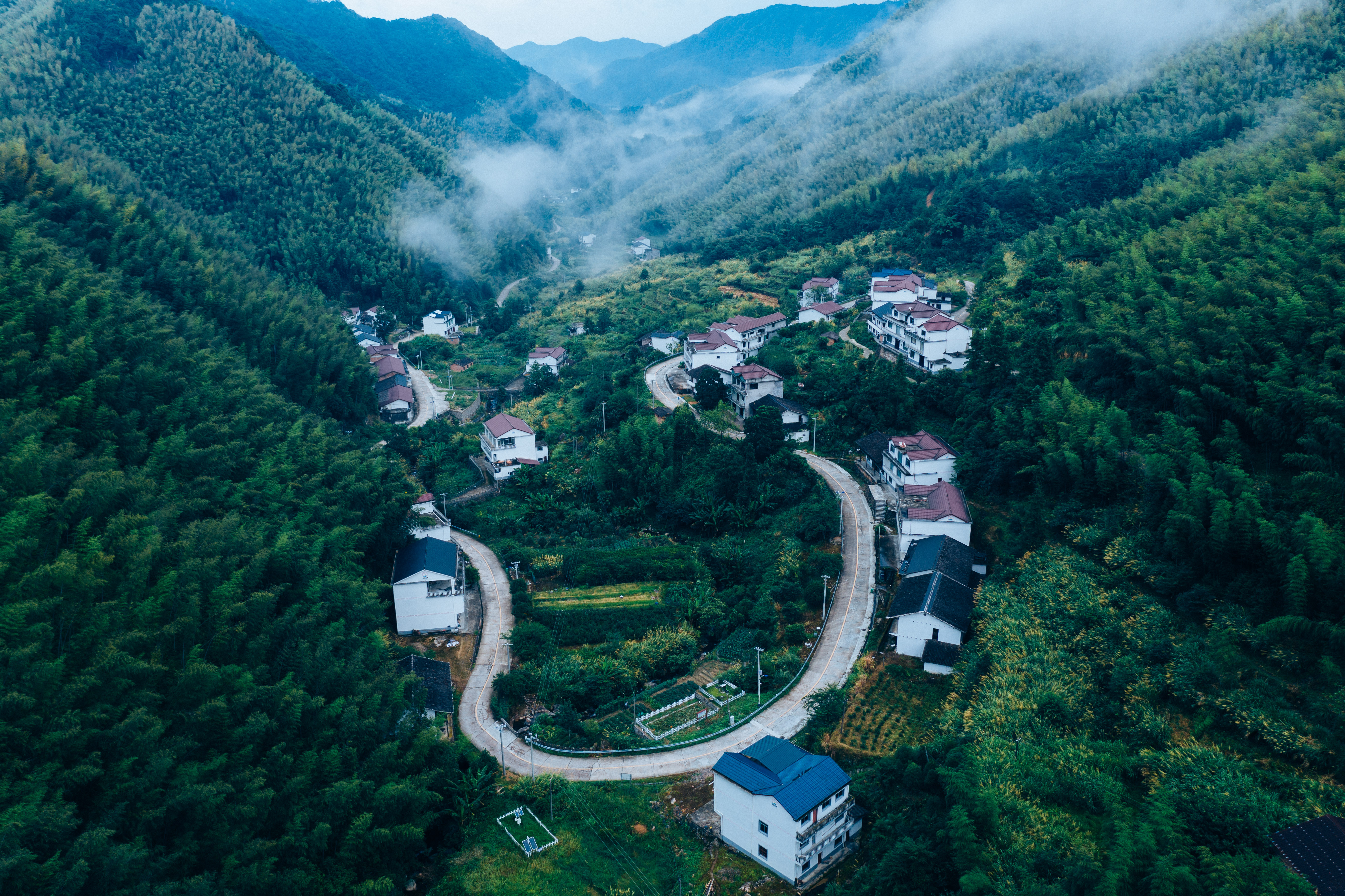 行游五府山：解密3宝，山野美味游走舌尖，传递平实的幸福