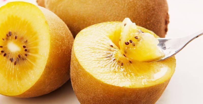 原汁原味的猕猴桃,云雾山原汁原味香甜可口的猕猴桃