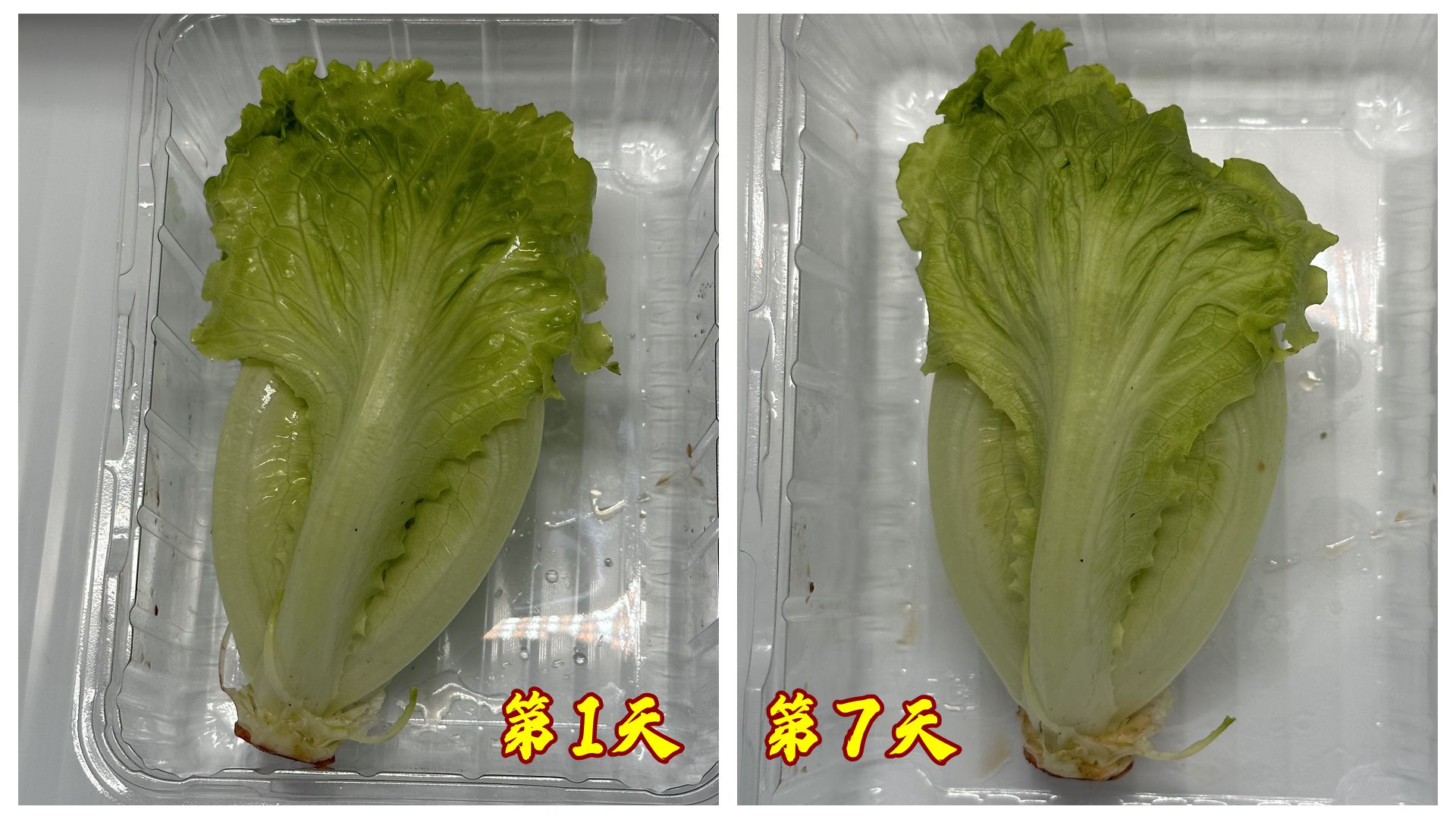 tclt9对开门冰箱评测,tcl嵌入式t9冰箱测评