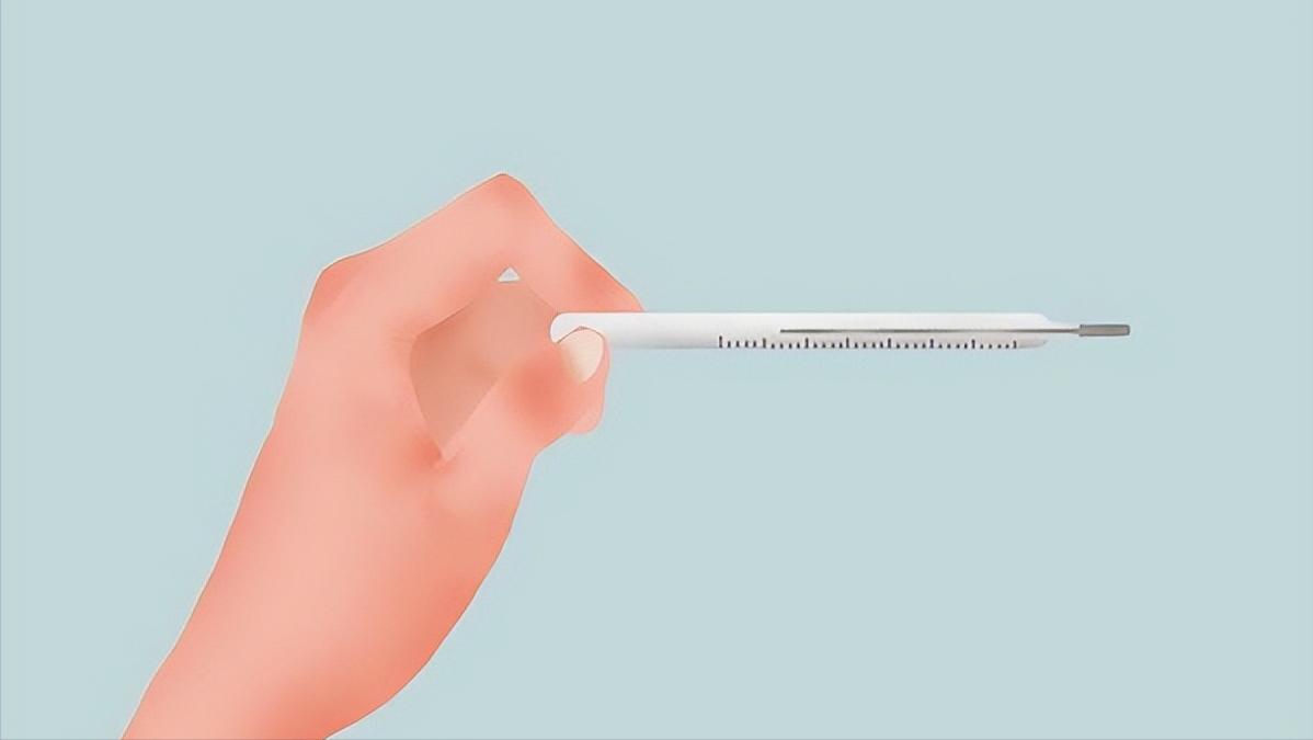 排卵期同房，怀孕概率会增加？备孕的注意事项，你都了解清楚了吗