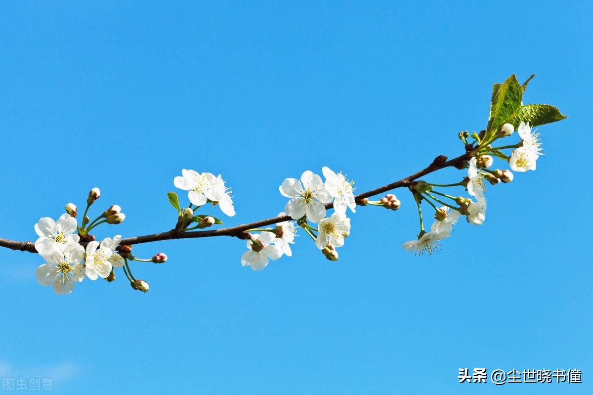 李贺的一生很不幸，过着颠沛流离的生活，创作出来的诗也是很伤感