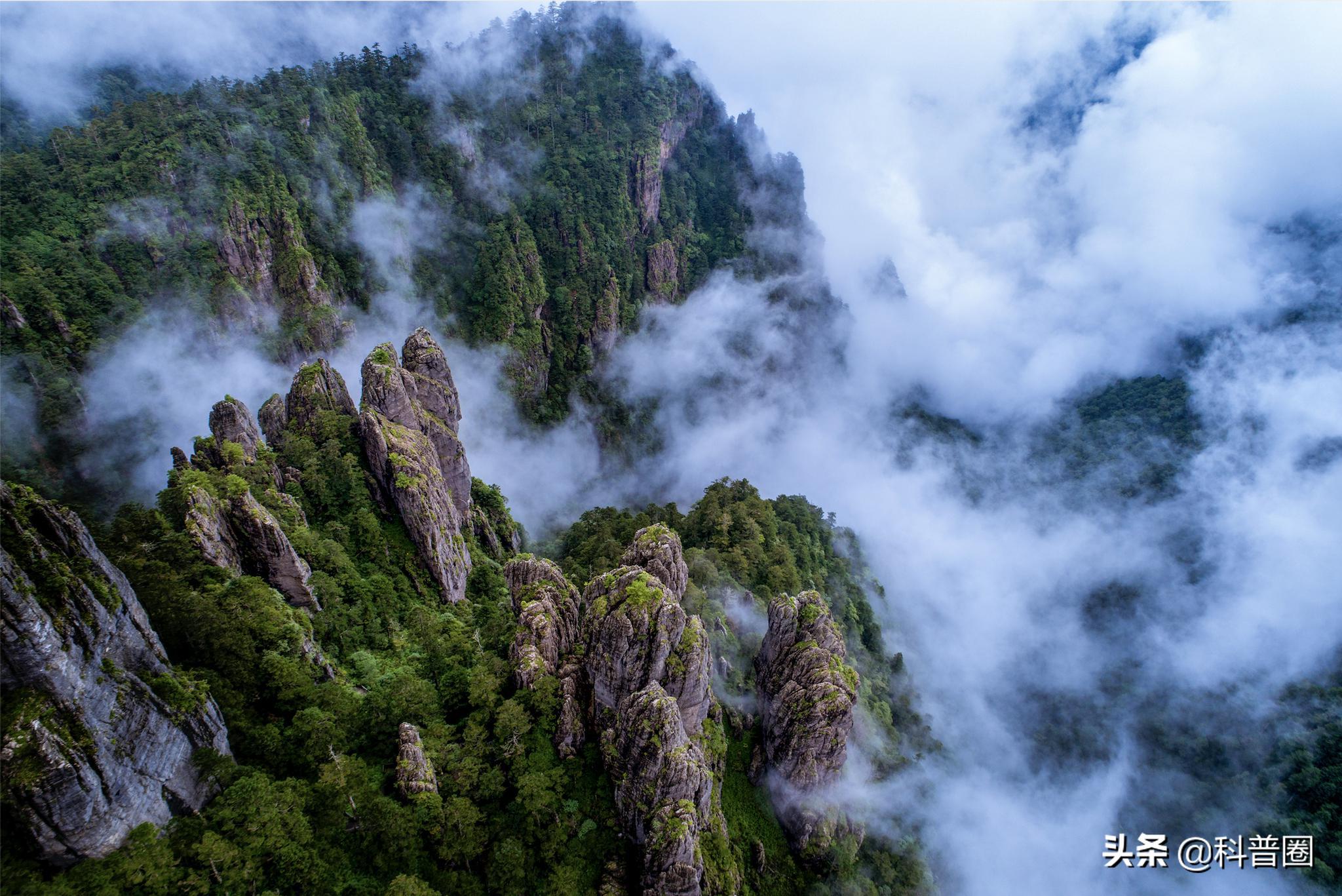 神农架深处被列为禁区的现象,神农架深处为何被列为禁区进不去