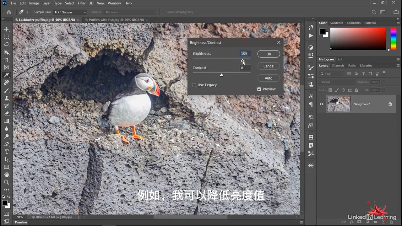 乐辣练习|亮度对比度调整技巧