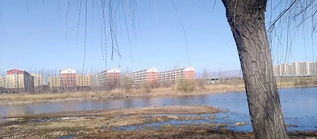 原创|2022迟到的春天之约