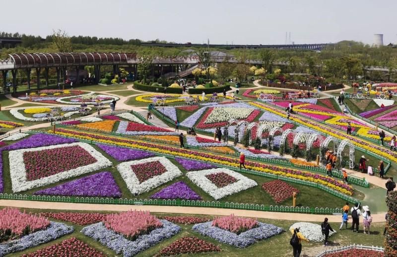 上海浦江郊野公园值得玩吗,上海浦江郊野公园太美