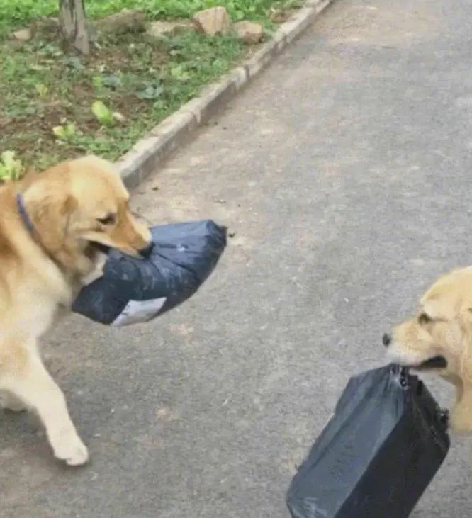 新手小白该如何验机,笔记本电脑验机指南常用软件推荐