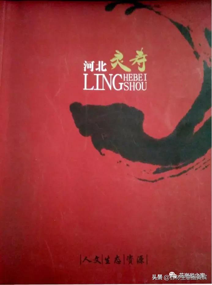 灵寿石材厂现状,石家庄灵寿县石材最新消息