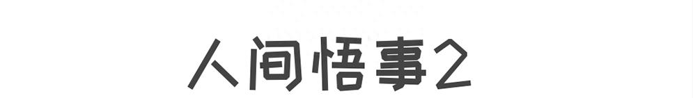 决不妥协结局很意外,王珞丹的逆袭之路