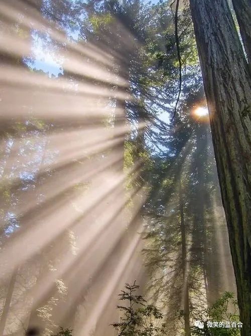 岁月洗礼时光，崭新流年记忆