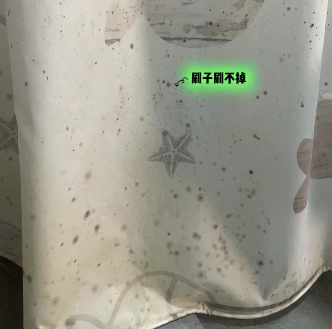 家居必备的10样东西,哪些家居用品使用要注意安全