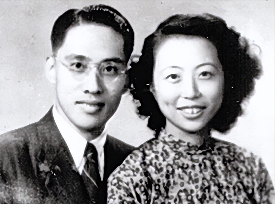 谍战玫瑰沈安娜的传奇人生,谍战玫瑰沈安娜电视剧多少集