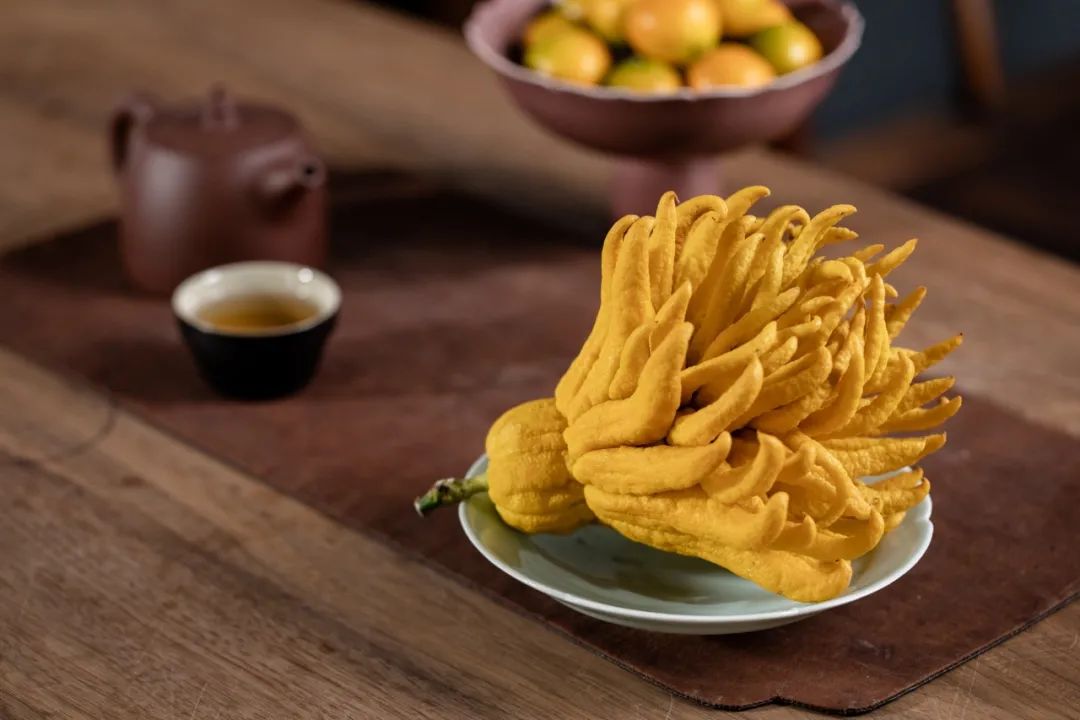 佛手清供哪里买,又到白茶飘香时