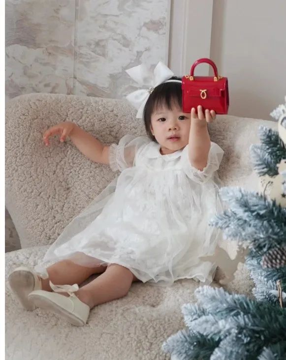 英国女王最喜欢的包包牌子,英国女王拿的包包价格