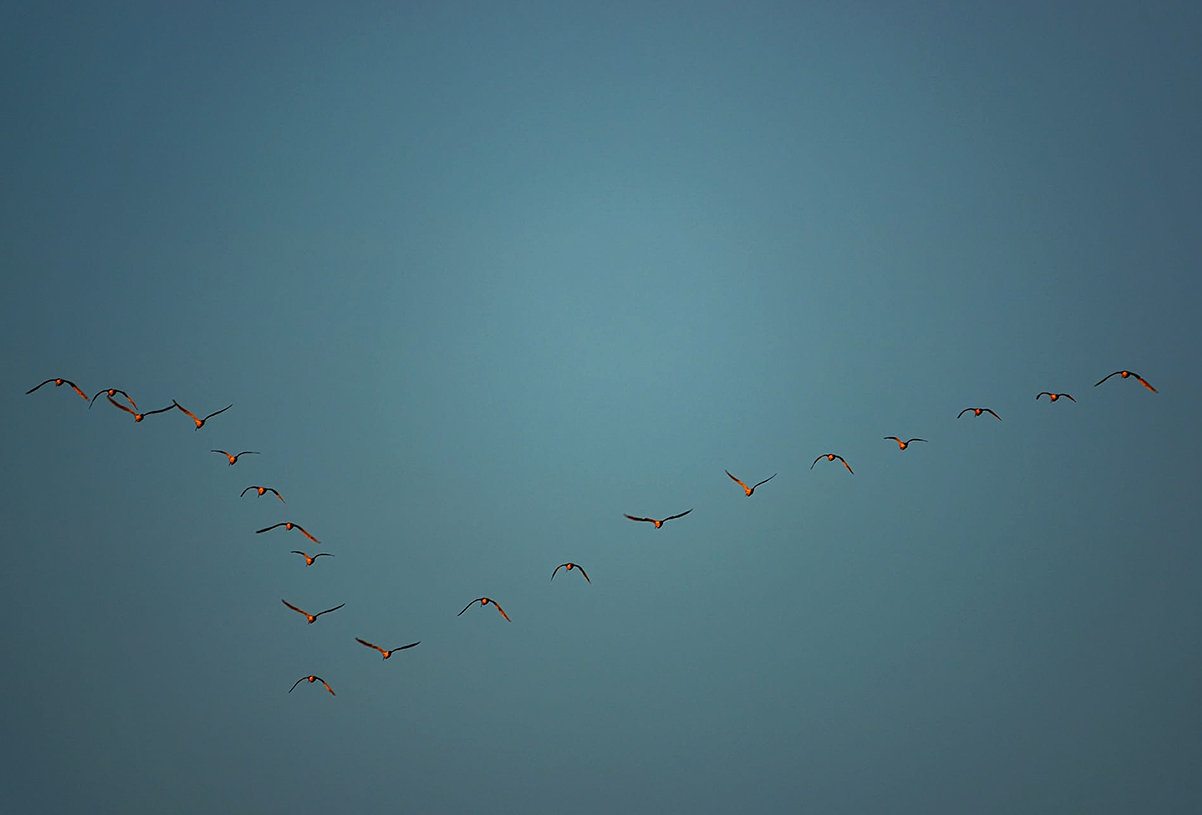 香港天空不明飞行物,高雄天空不明飞行物是什么