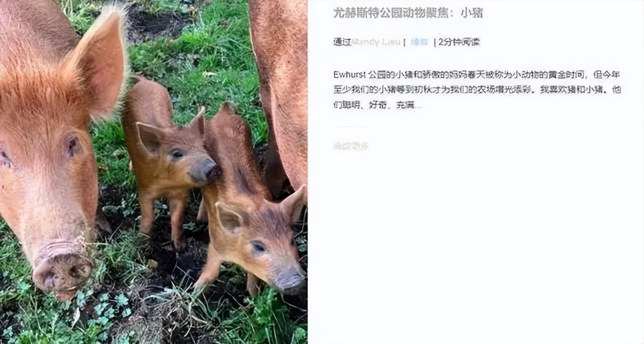 洗米华判刑18年，监狱生活曝光！长子仍游迪拜继续享受