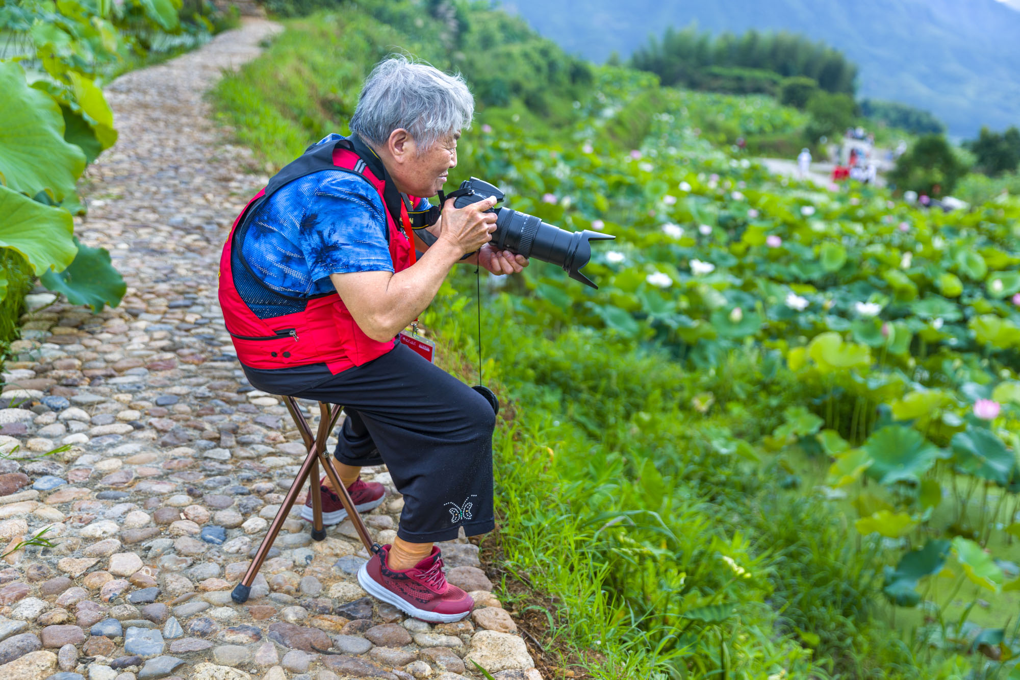 “同话沪明情、四季游三明”来自上海一位老摄影家的感人瞬间