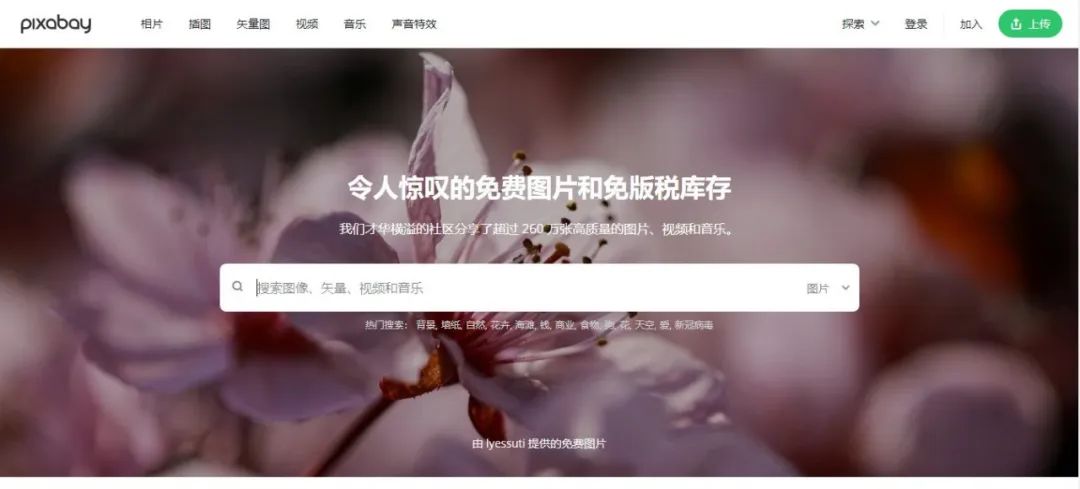 搞笑视频素材网站干货,新手必备的免费素材网站