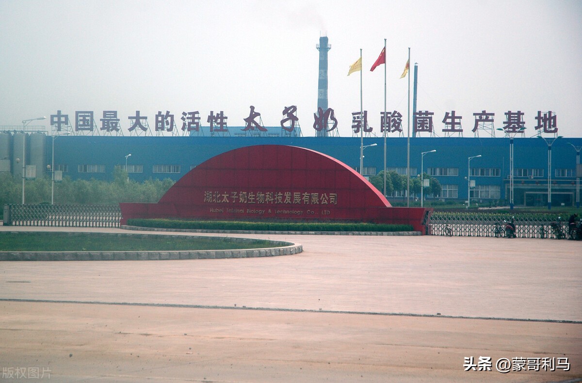 公司被剥夺，身家数十亿化为乌有，是谁“黑”了李途纯和太子奶