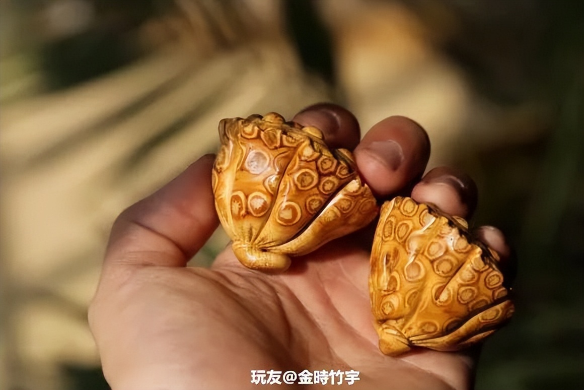 傻狍子角手把件,傻狍子的角掉了还能长出来吗