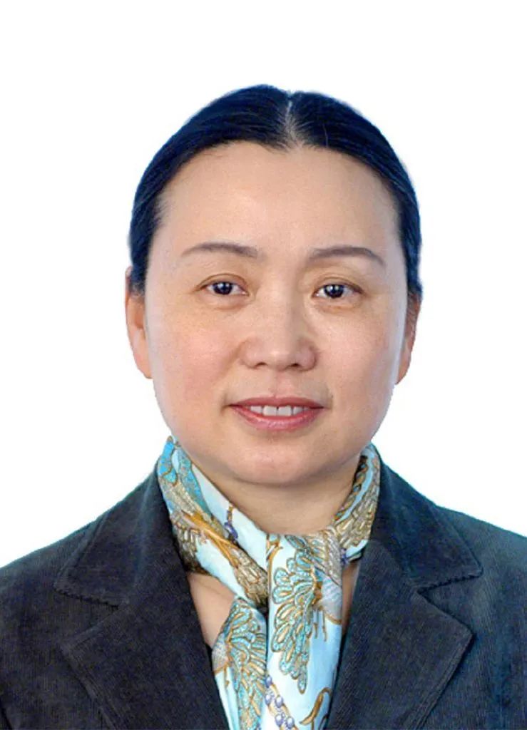 宪法学框架,宪法学研究述略